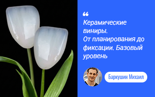 Керамические виниры. От планирования до фиксации. Базовый уровень.