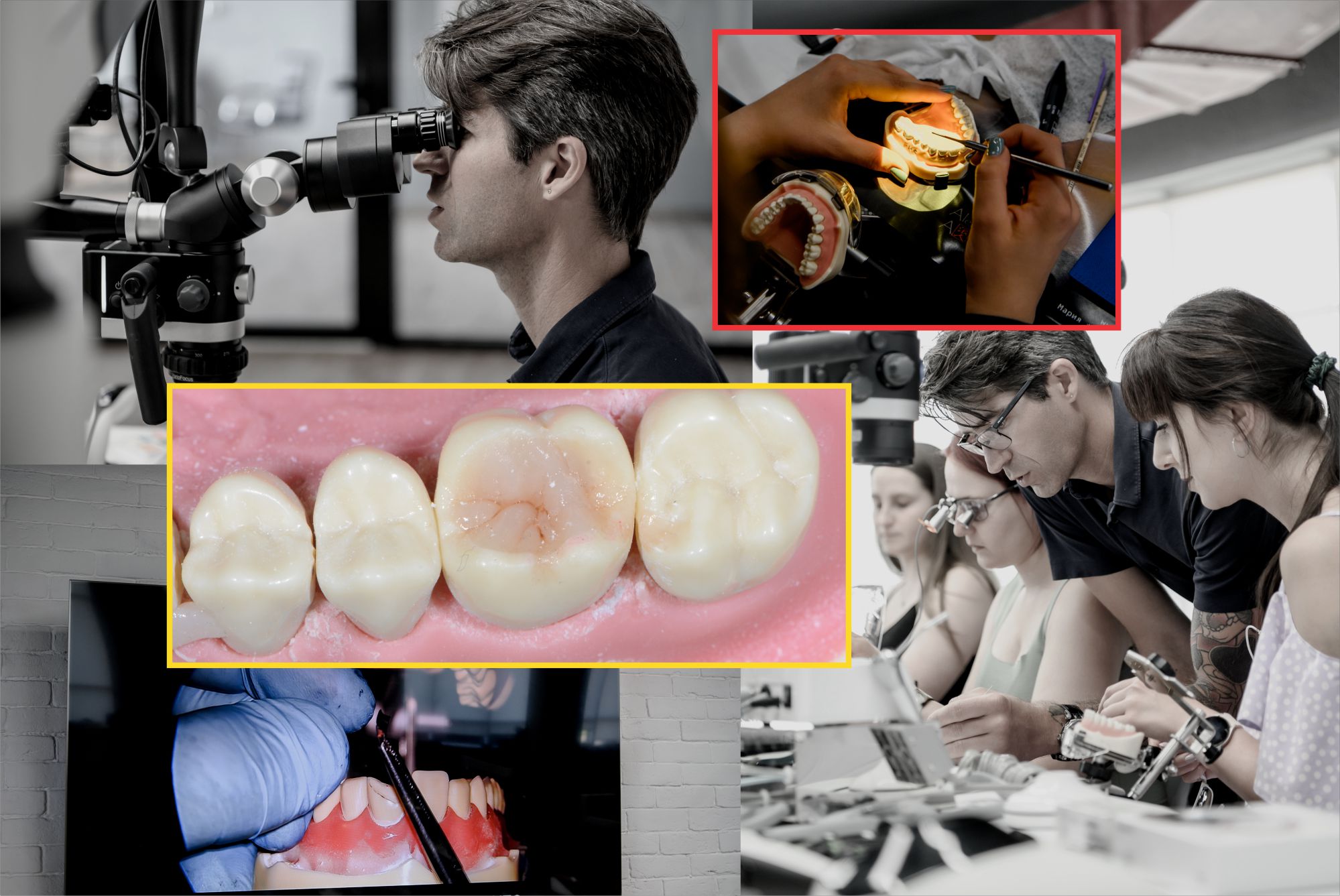 Секреты успешных реставраций. Анатомия и реставрация жевательных зубов