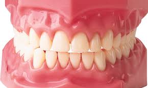 Новый гель на основе кальция позволит восстанавливать костную ткань челюсти после удаления зуба