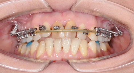 Седельникова Виктория