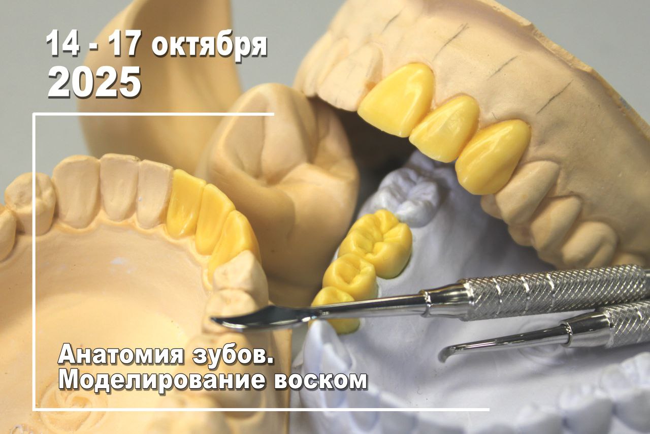 Анатомия передних и боковых зубов. Изучение принципов естественной улыбки. Восковое моделирование