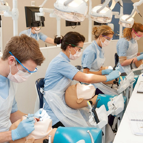 Чему и где может научиться стоматолог в июне 2021 года?