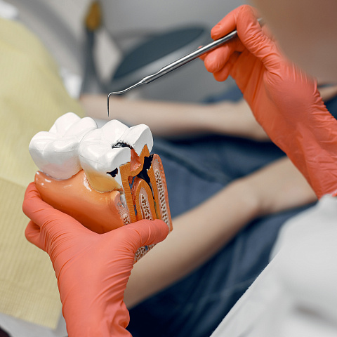 Какие учебные курсы ждут стоматологов в августе?