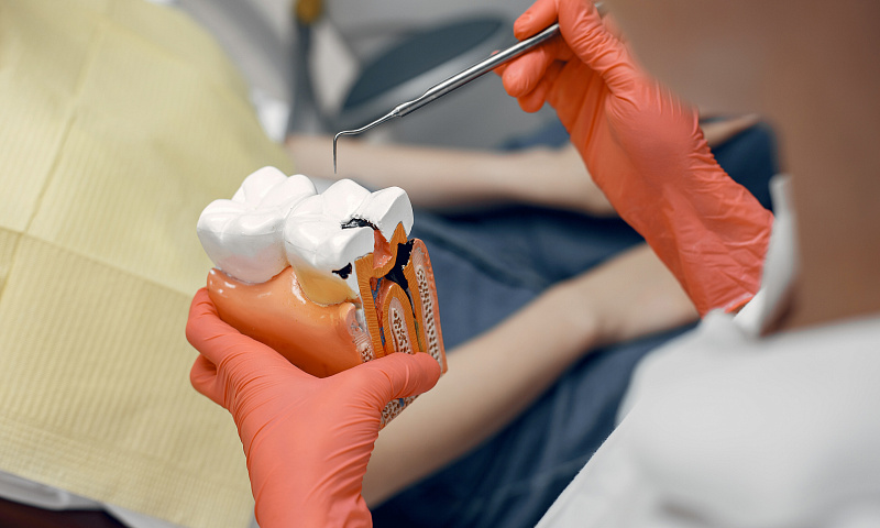 Какие учебные курсы ждут стоматологов в августе?