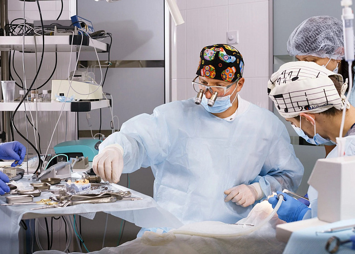 «Digital Full Arch - Moderate atrophy. Цифровые протоколы немедленной нагрузки с умеренной степенью атрофии»