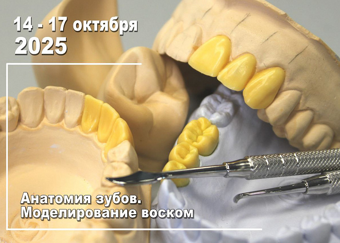 Анатомия передних и боковых зубов. Изучение принципов естественной улыбки. Восковое моделирование