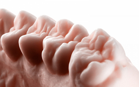 «3D печать в стоматологии и зуботехнической лаборатории»