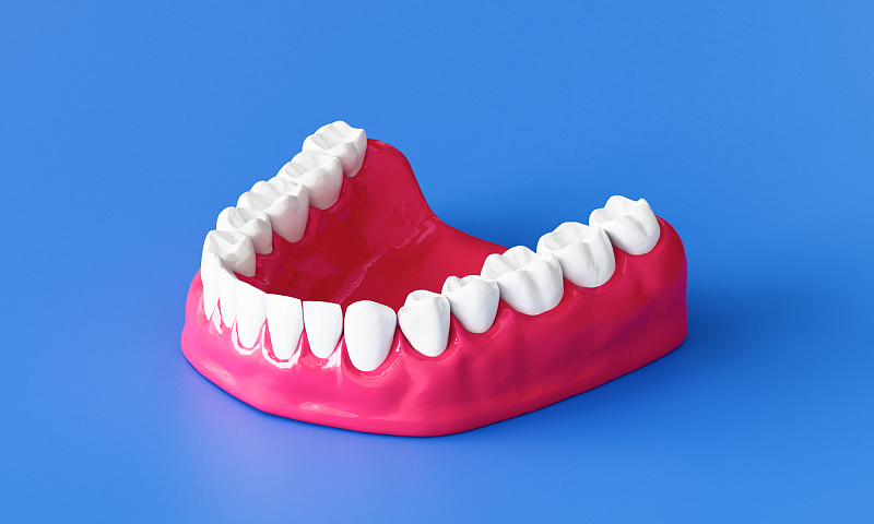 Строение нижней челюсти человека