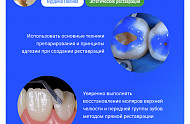 Фото Фотографии учебного материала